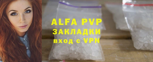 a pvp Бородино