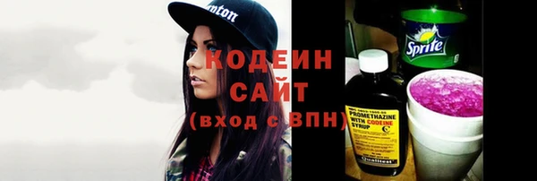 a pvp Бородино