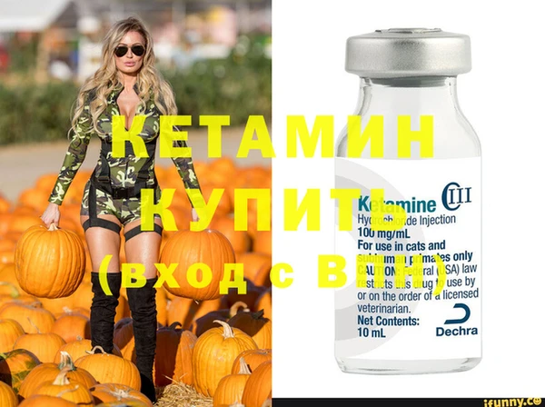 a pvp Бородино